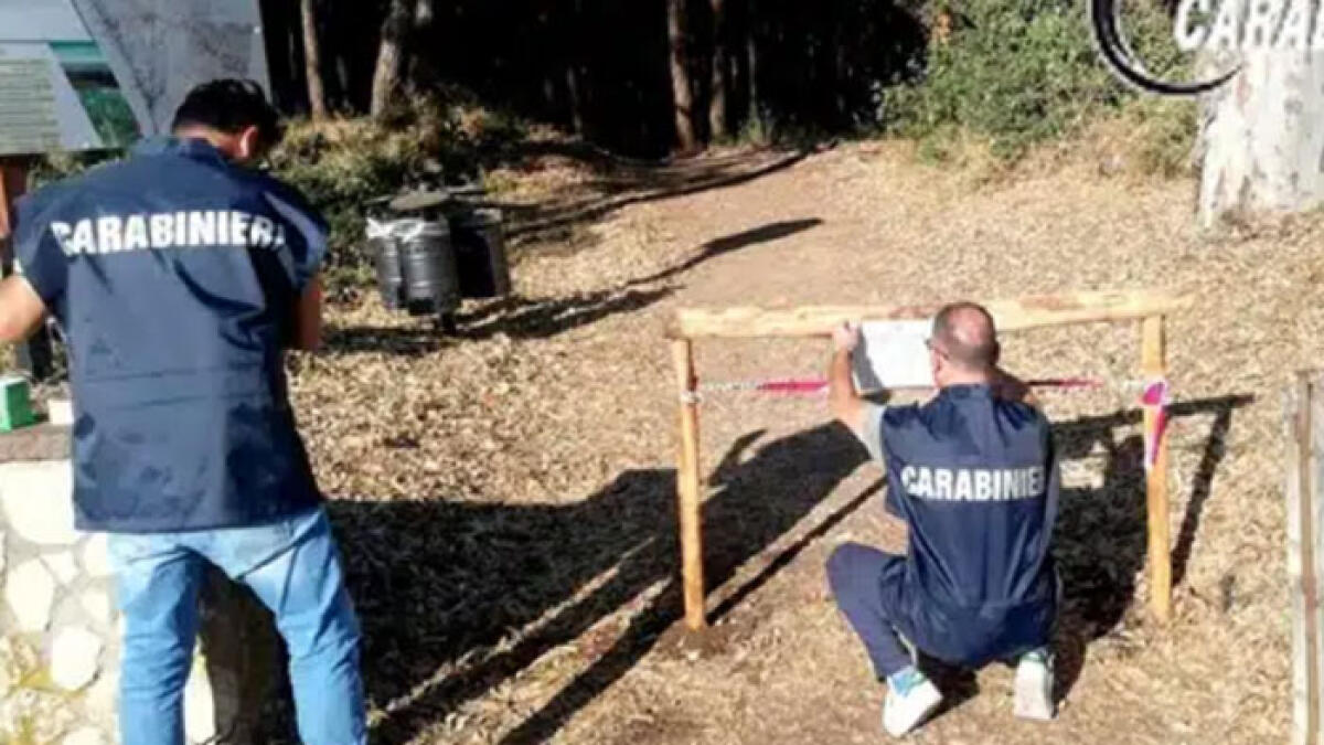 Costruisce una pista di kart nell'area protetta - 