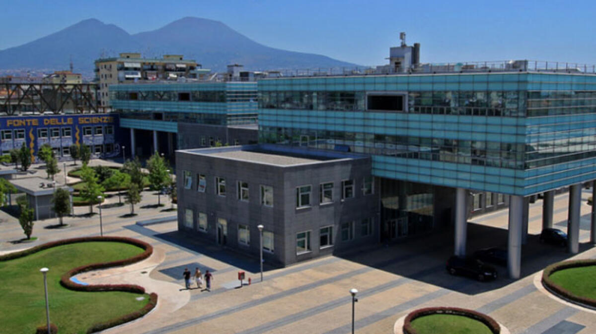 Ladri nel nuovo complesso universitario - 