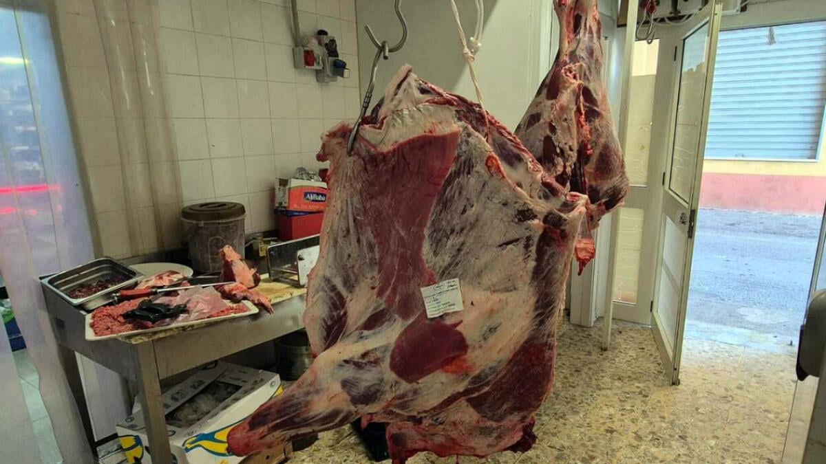 Carne in cattivo stato di conservazione, scatta il doppio blitz - 