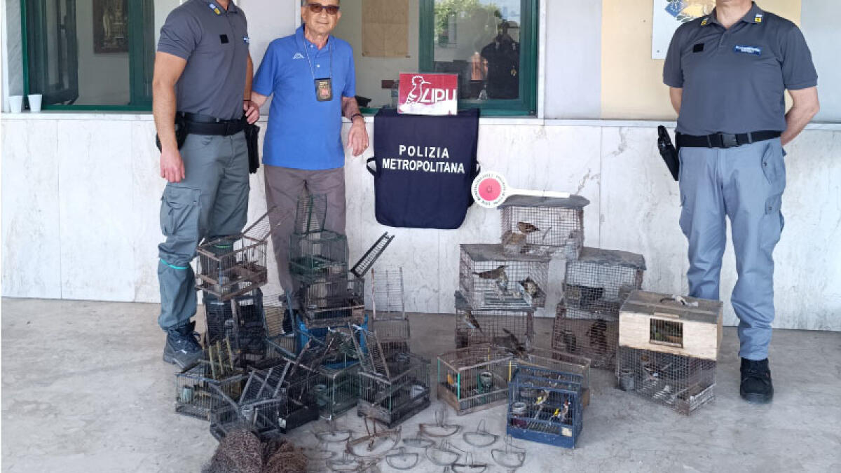 Blitz nelle campagne di Pompei: sequestrato impianto dei bracconieri - 