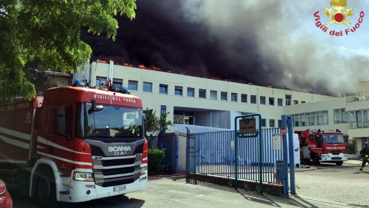 Rogo devasta l'Università - 