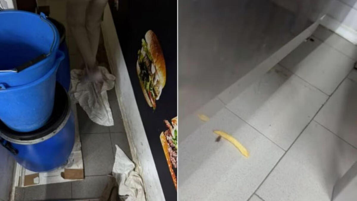 Blatte nel famoso pub, scatta la chiusura - 