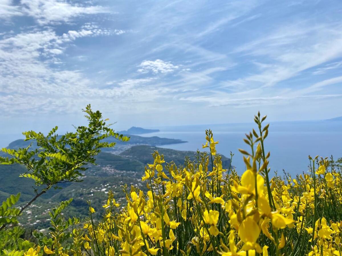 Al Faito un pomeriggio dedicato alla tutela dell'ambiente - 