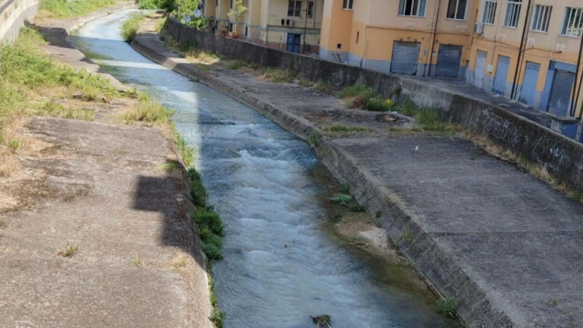 Sversa veleni nel fiume, le acque diventano bianche - 