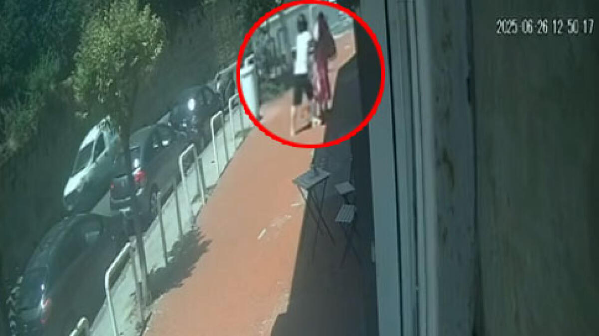 Anziana sbattuta a terra per rubarle i gioielli - GUARDA IL VIDEO - 