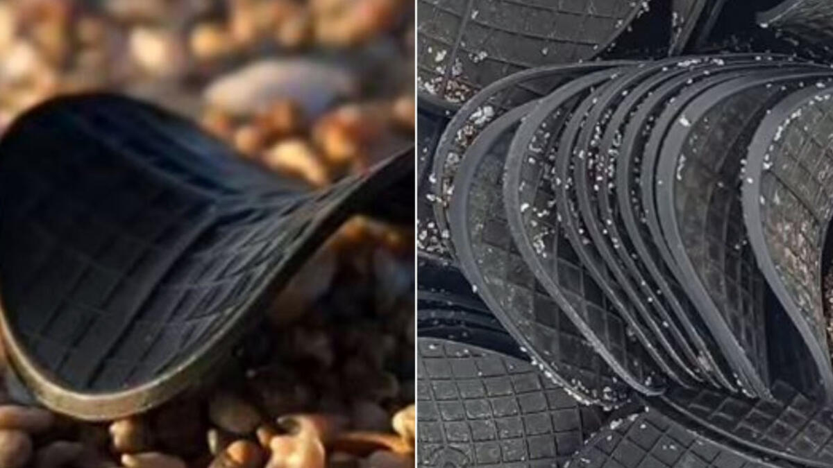 Spiagge invase da "dischetti neri" - 