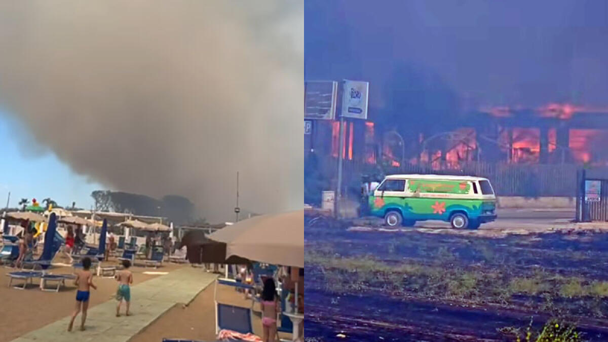 Brucia pineta accanto al lido, bagnanti scappano dalla spiaggia - 