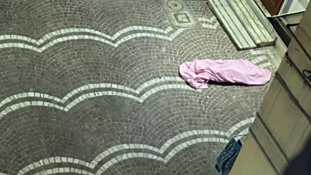 Cane muore di stenti, orrore sotto al Vesuvio - 