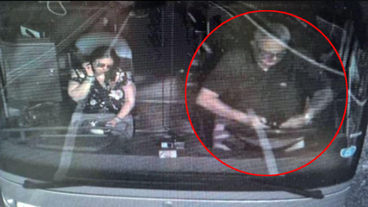 La maestra Domenica morta nell'incidente, in un video l'autista del bus guardava il telefono - 