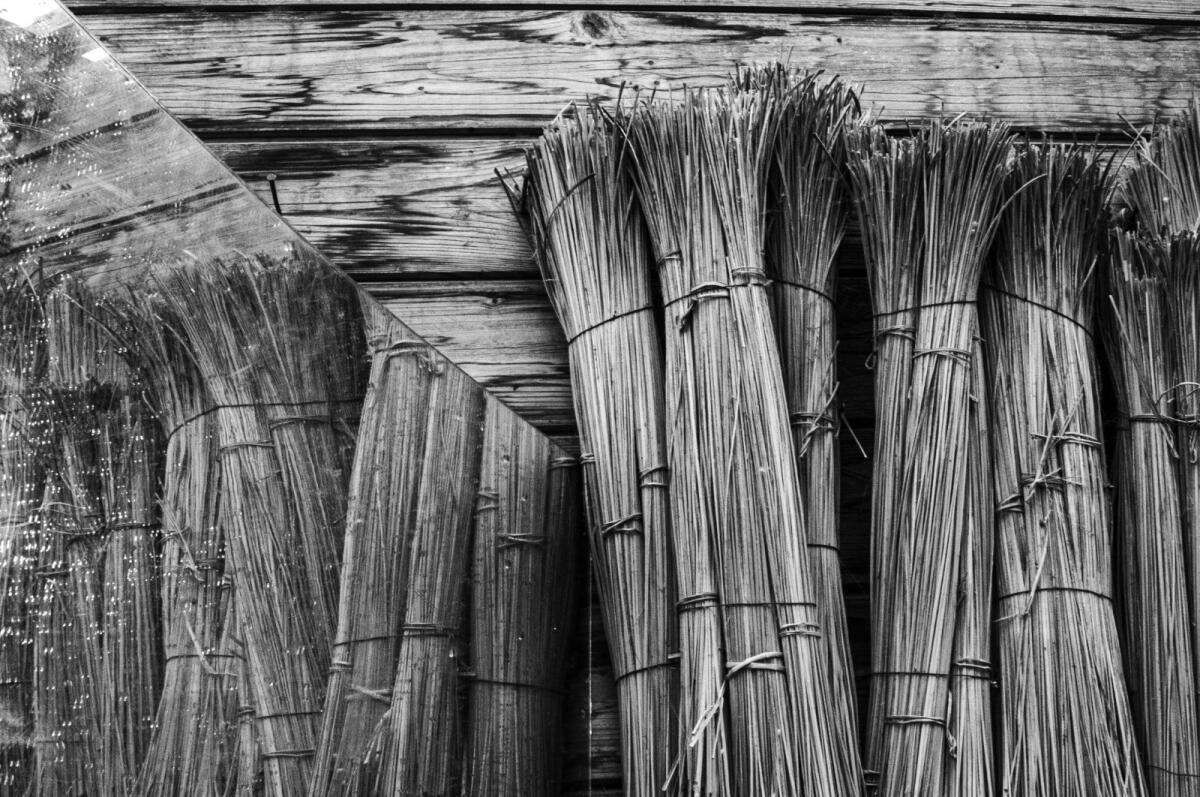 I paesaggi vesuviani in un docufilm, è già successo - 