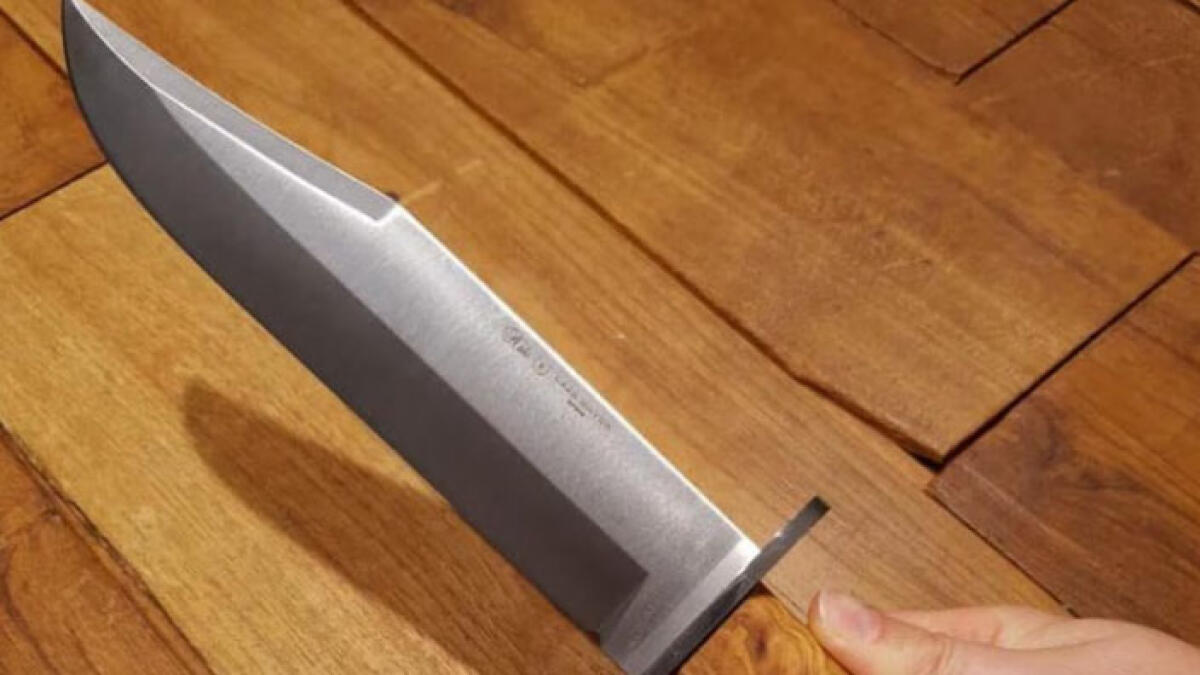 A 16 anni con un coltello in mano tra la folla: "Volevo solo farmi un selfie" - 