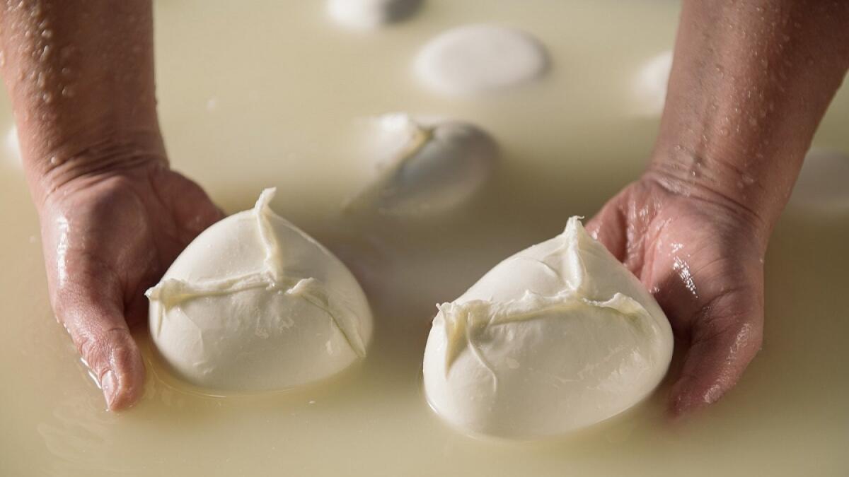 Agosto comincia col Festival dell'Oro Bianco - 