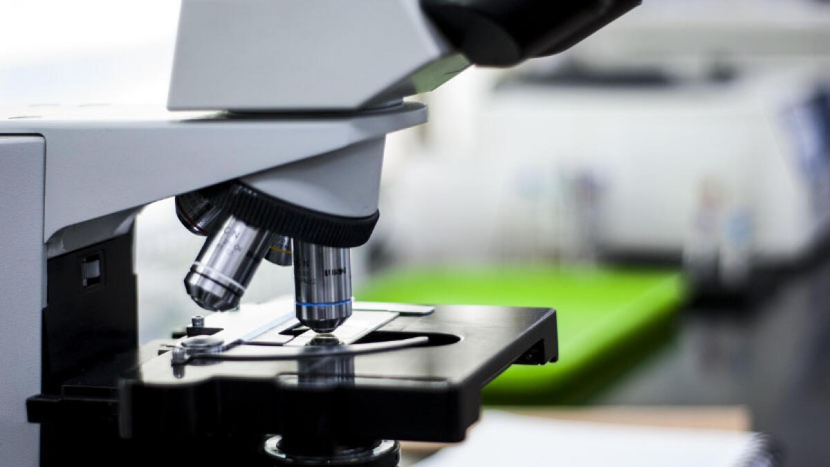 Già 4 morti per il batterio mangiacarne, quali sono gli alimenti ed i luoghi a cui fare attenzione - 