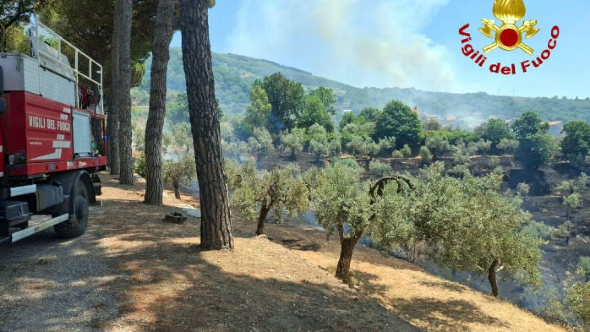 Il verde va a fuoco, trovato un corpo senza vita - 