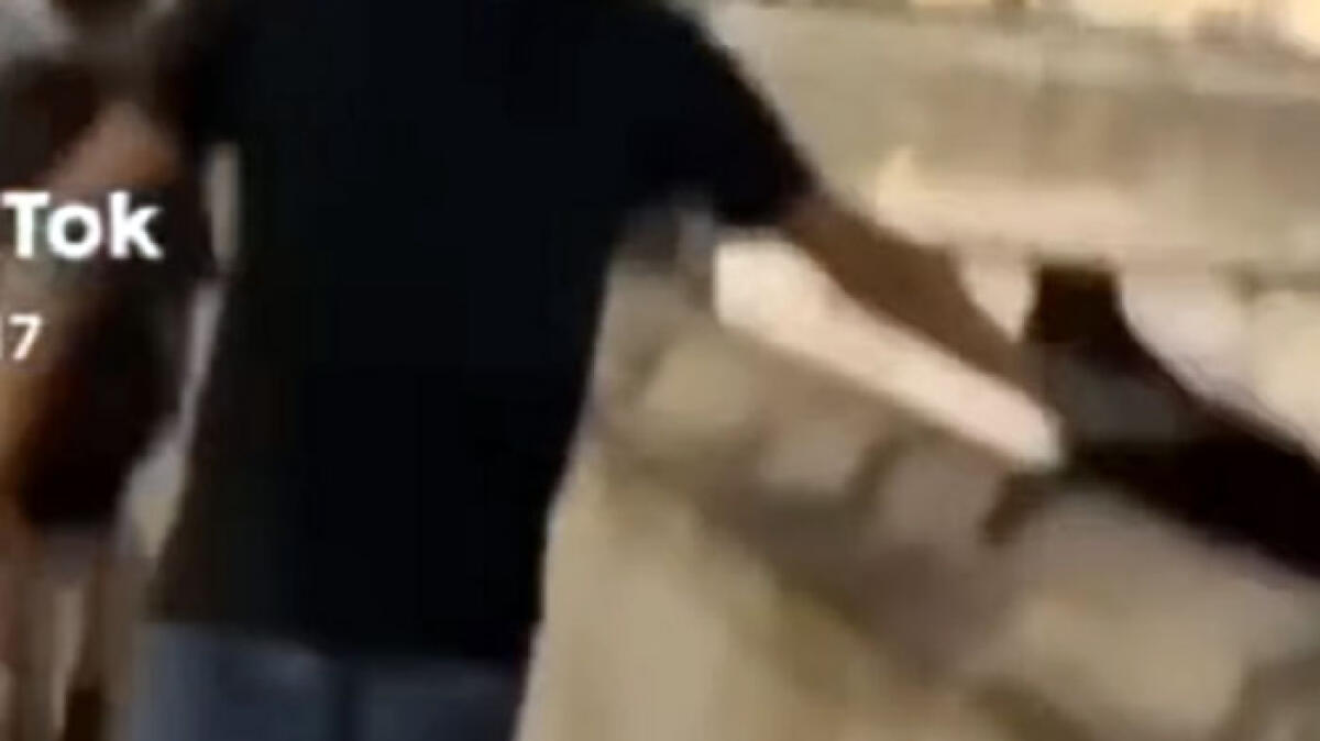 Lancia gattino nel vuoto dal castello, il video è online - 