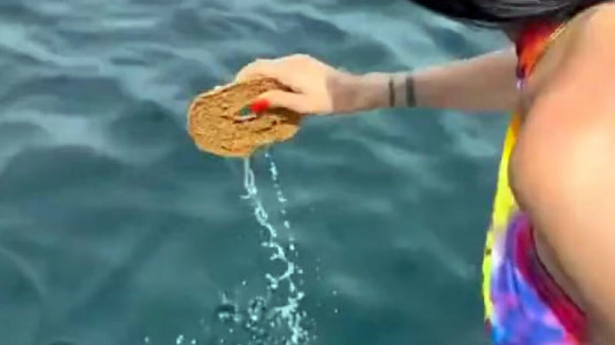 Bagna la "fresella" in mare e resta intossicato - 