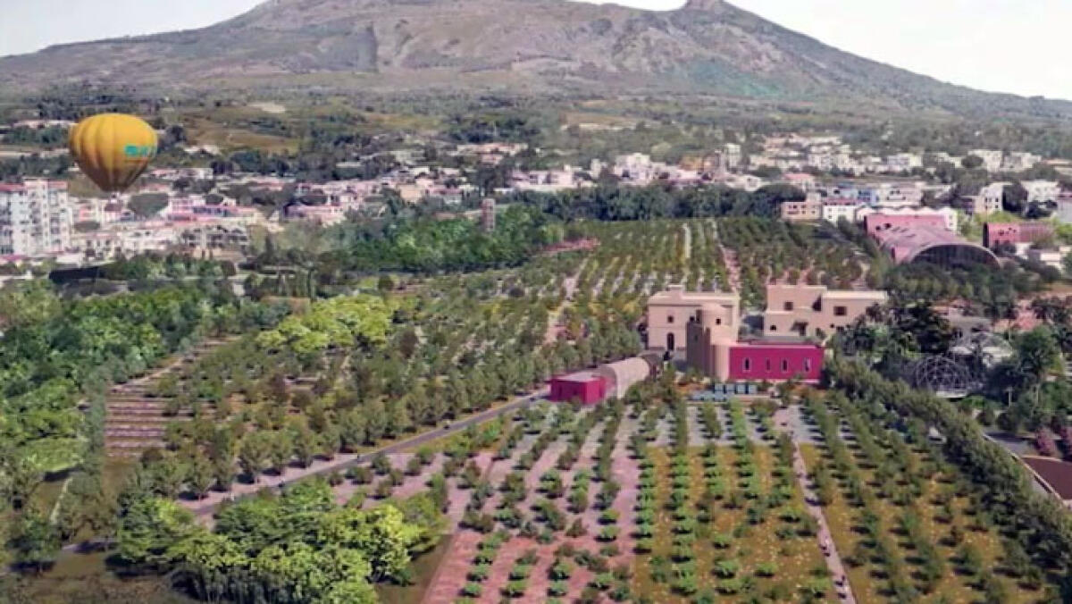 Bioparco a Boscoreale e mongolfiera gigante vicino al Vesuvio - 
