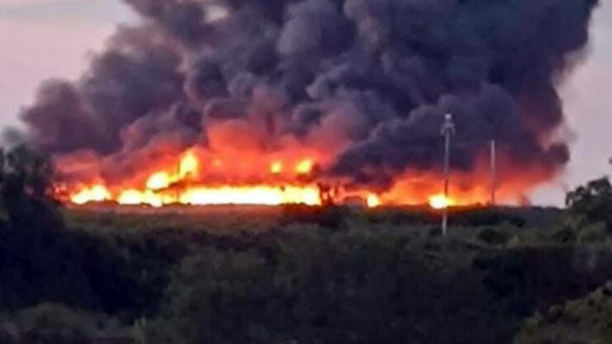 Incubo incendio, vietata la raccolta di frutta e verdura - 