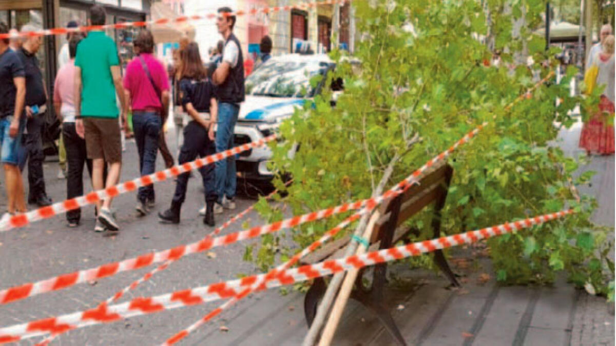 Albero crolla su una panchina - 