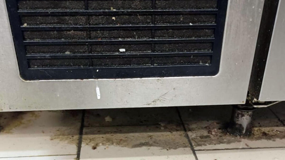 Serie di orrori nel ristorante sushi, abbattitore usato come ripostiglio - 