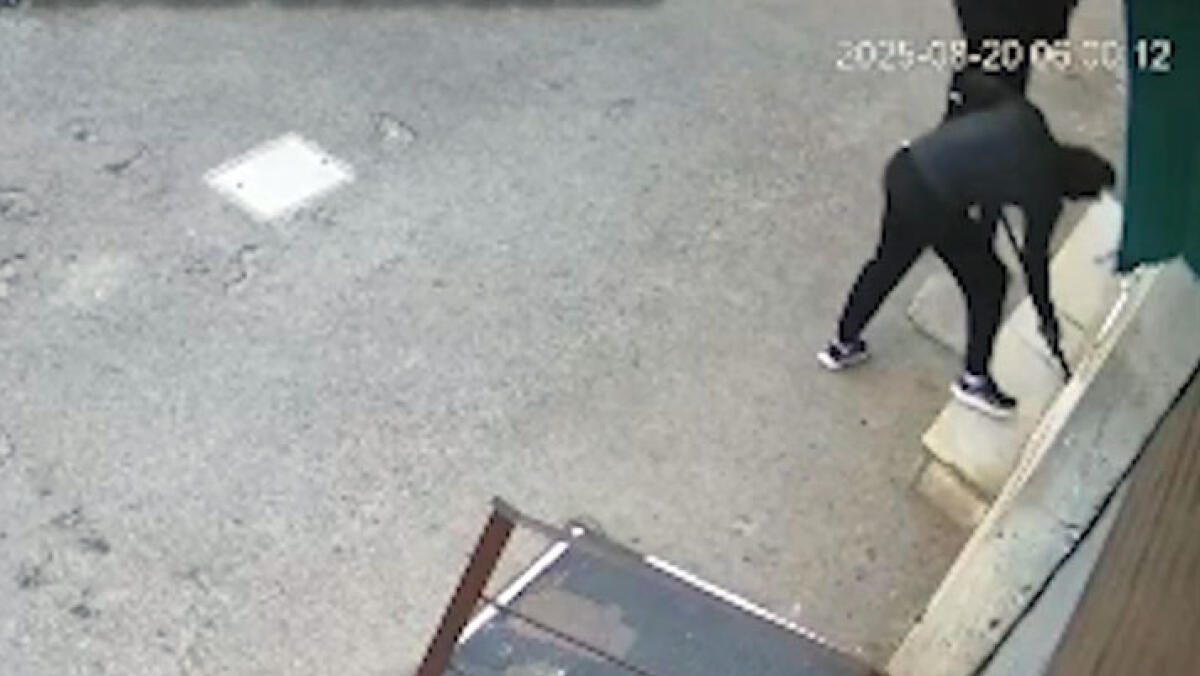 Forzano saracinesca della farmacia, messi in fuga dai residenti - 