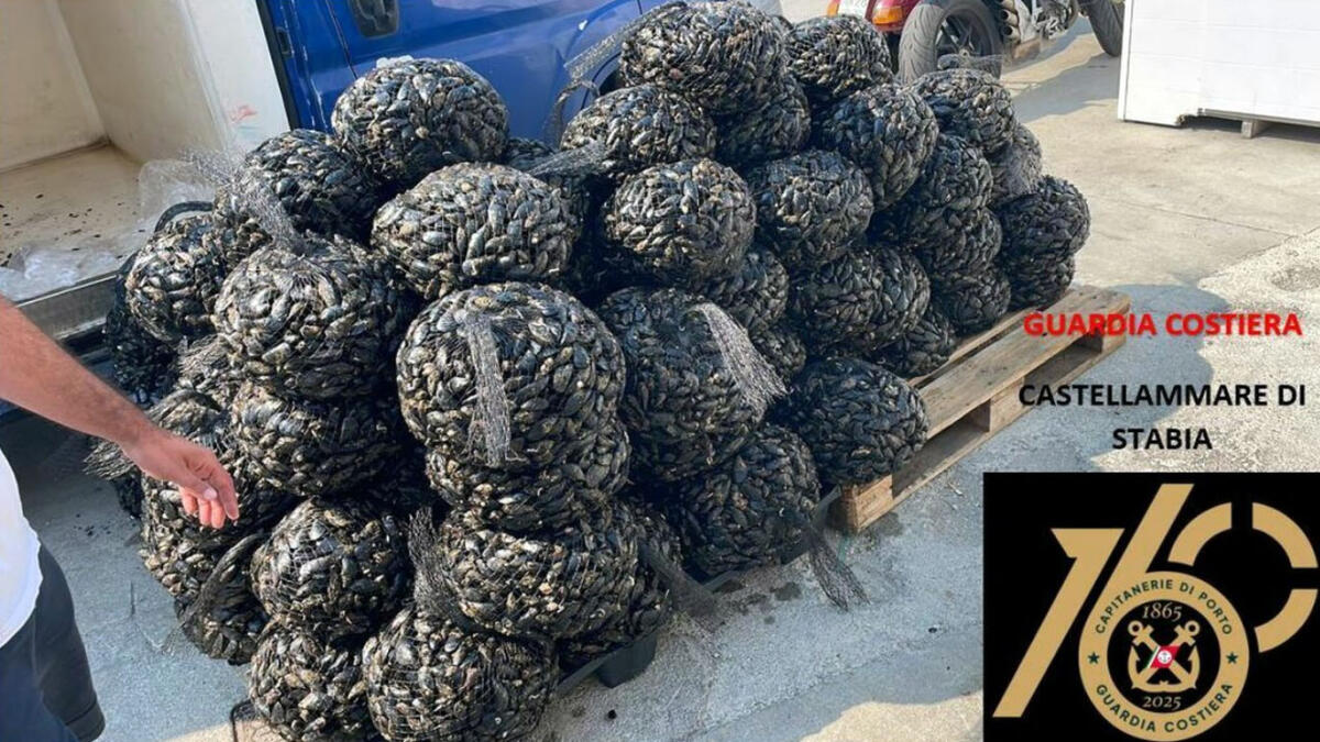 Sequestrata una tonnellata di cozze nei Paesi Vesuviani - 