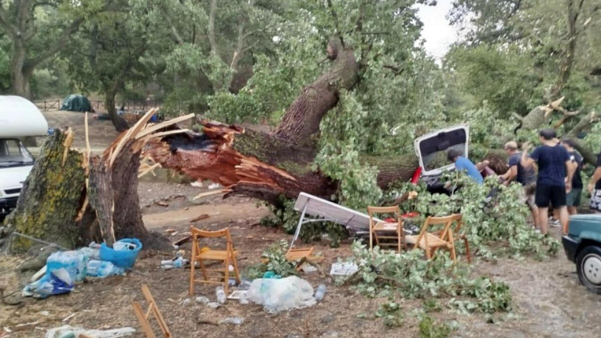 Crolla albero sul picnic, muore 29enne - 