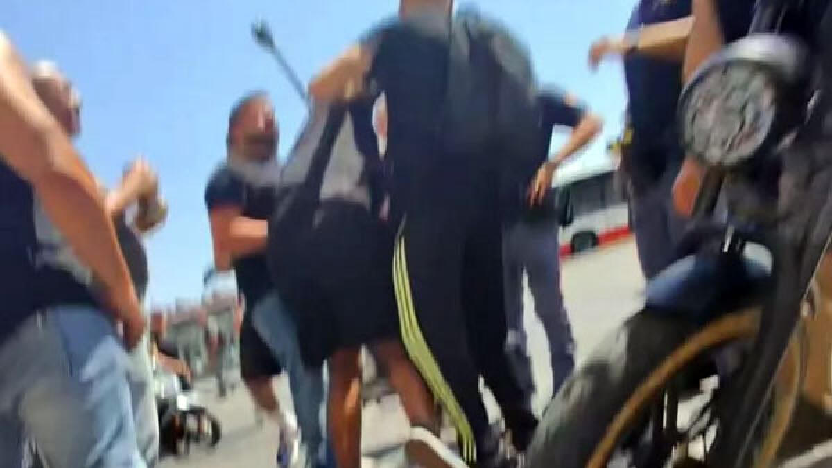 Cicalone aggredito, Evelina resta ferita GUARDA IL VIDEO - 