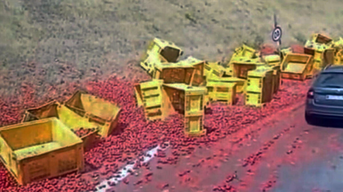 Tir si ribalta, carico di pomodori finisce sull'asfalto del Raccordo - 