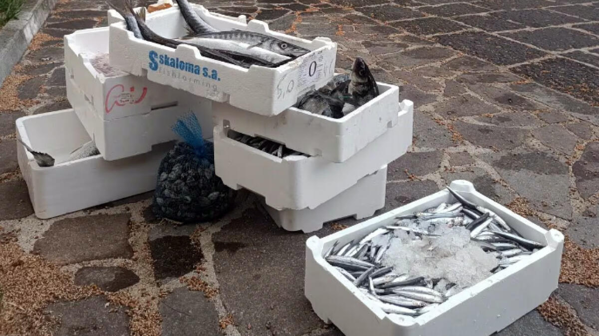 Sequestrato un quintale di pesce a Pompei - 