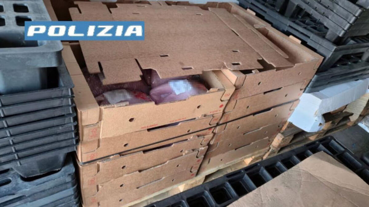 Spariscono i polli, nei guai addetto e un complice - 