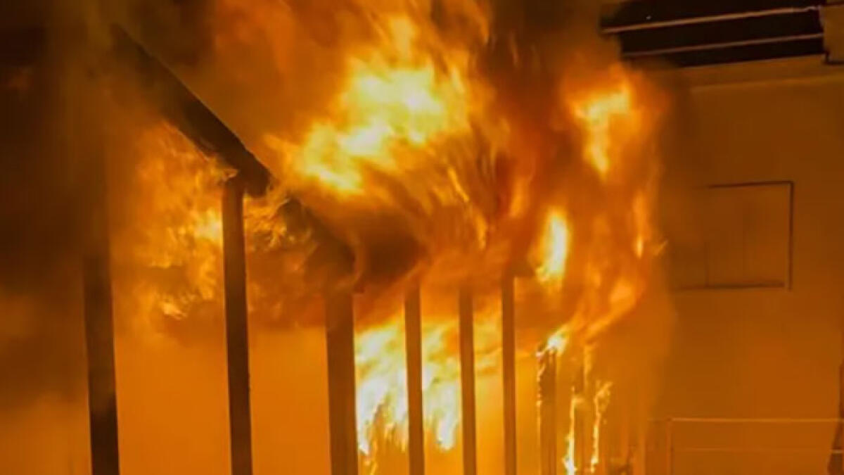 Incendio alle Torri Aragonesi, centinaia di topi si riversano in strada - 