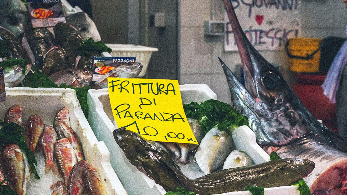 Pesce a rischio estinzione, cinque prodotti del mare che a breve non mangeremo più - 