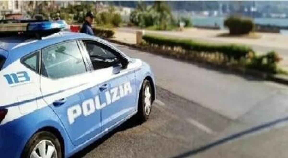 Topi nell'hotel, i turisti scappano e chiamano la polizia - 