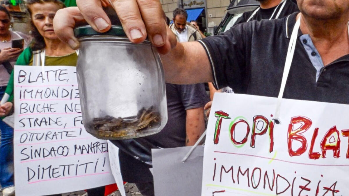 "Basta blatte", e le portano nel barattolo davanti al Comune - 