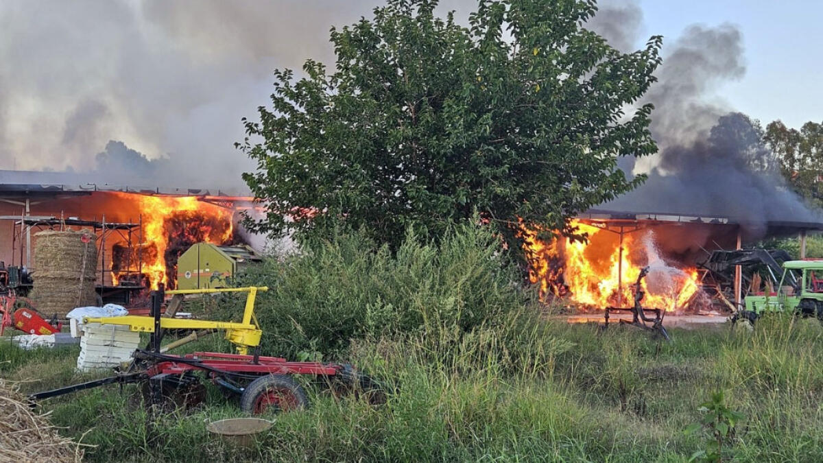 Incendio distrugge azienda agricola - 
