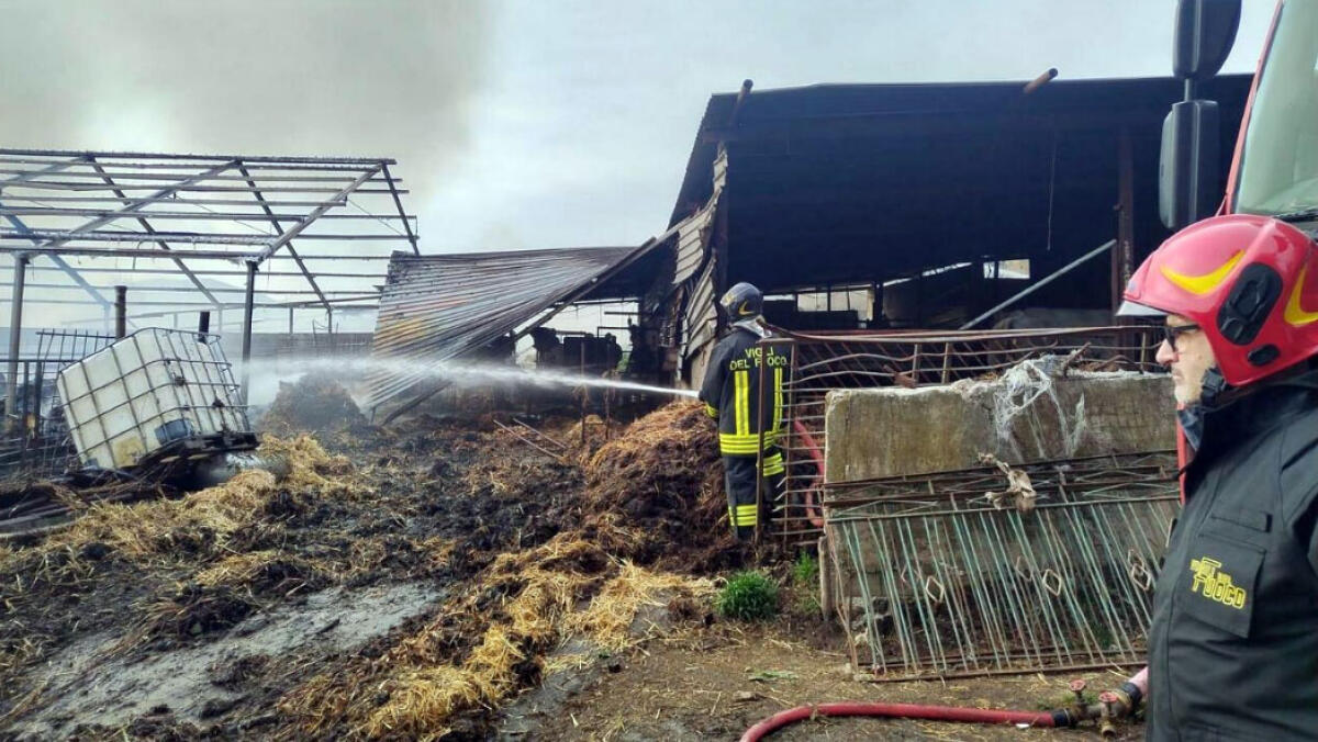 Diossina sui fondi agricoli dopo l'incendio durato giorni - 