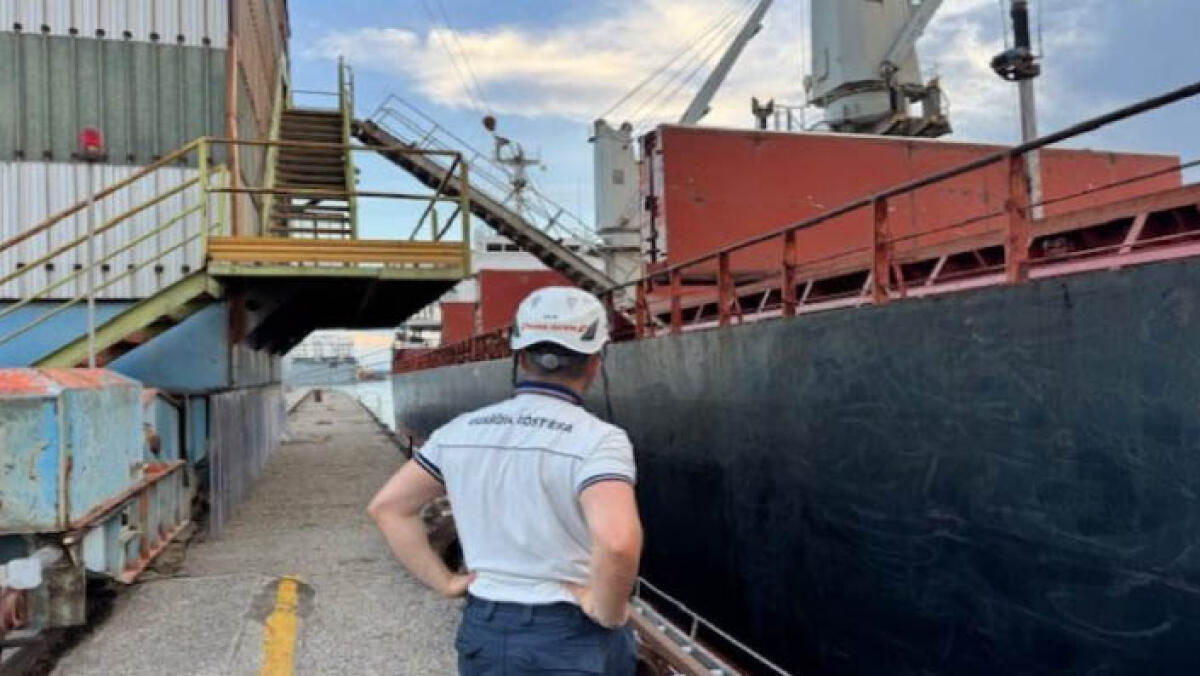 Insetti in cucina e condizioni antigieniche, sequestrata nave al Porto - 