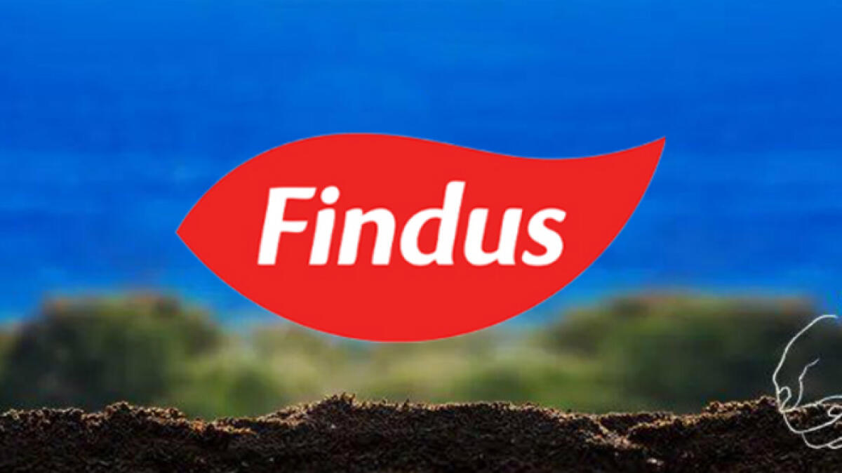 Findus assume in Italia, ecco come candidarsi - 