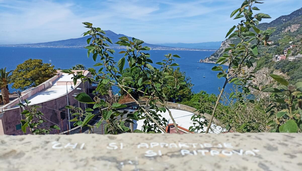 "Salviamo Vite: evento nazionale di Primo Soccorso Pediatrico a Vico Equense" - 