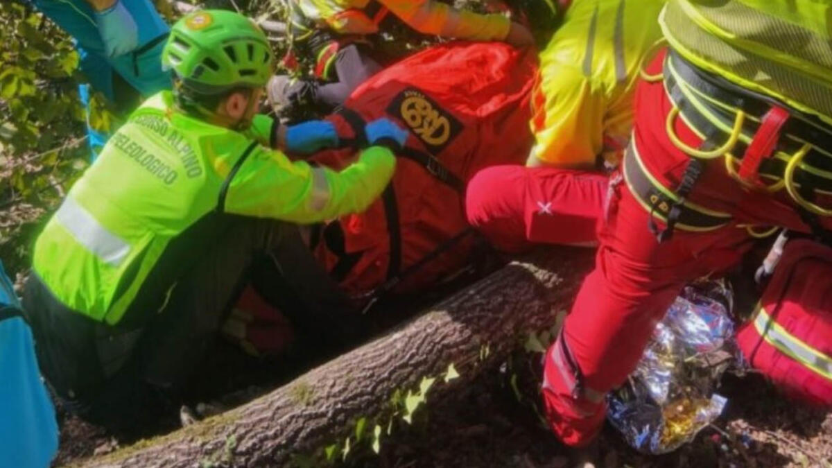 Cade albero, colpito operaio - 