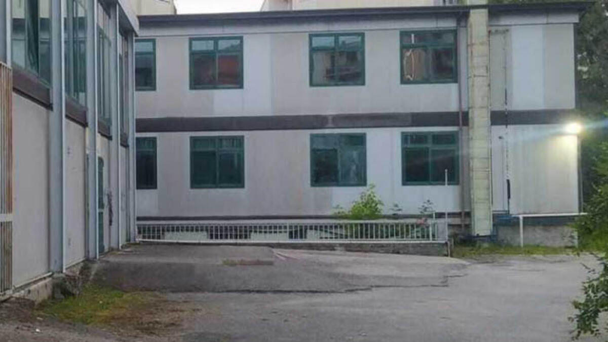 Invasione di topi, scuola resta chiusa per 15 giorni - 