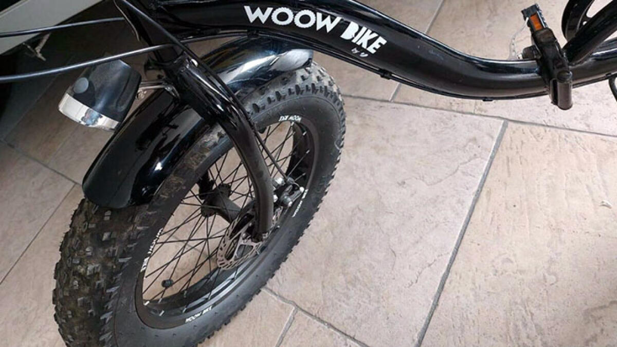 Ruba uno stereo, poi scappa su una e-bike - 