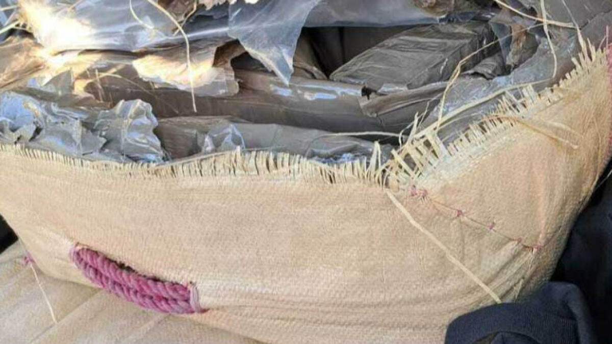 Oltre 300 chili di stupefacenti e allucinogeni nascosti nei sacchi - 