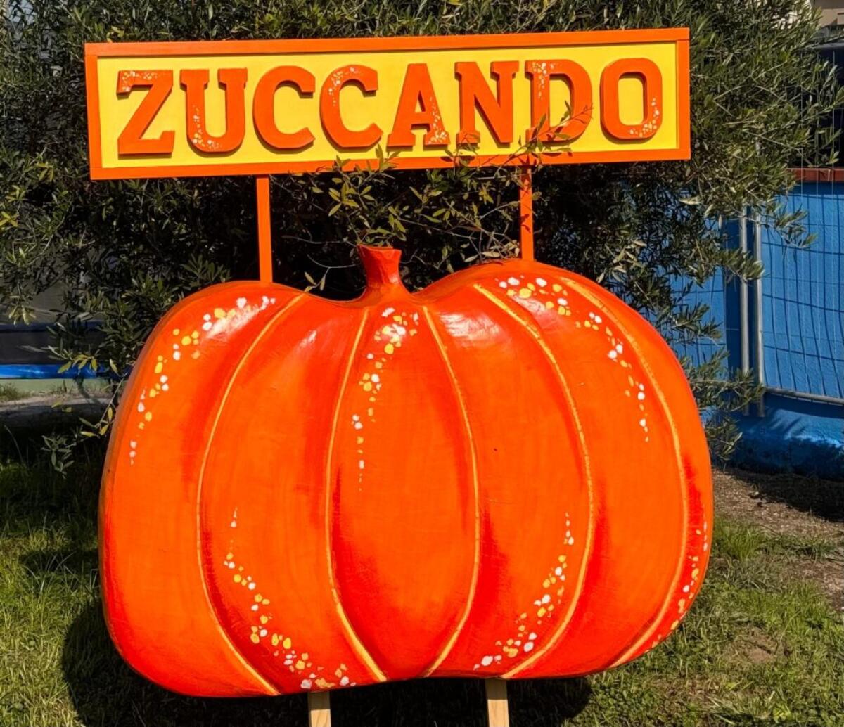 Zuccando, la festa della zucca di Casalnuovo di Napoli: un evento imperdibile per i bambini - 