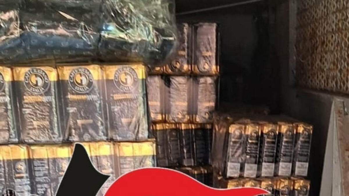 Porta via merce per 60mila euro - 