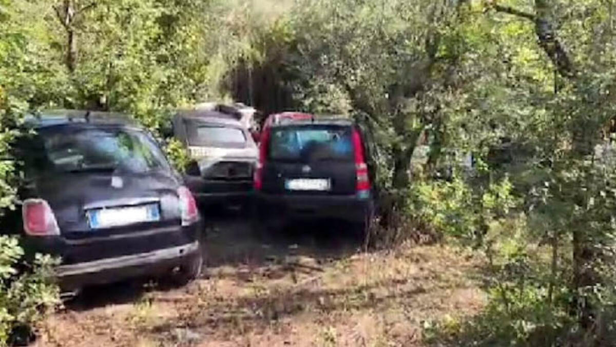 Auto rubate, scoperta la centrale in un bosco - 