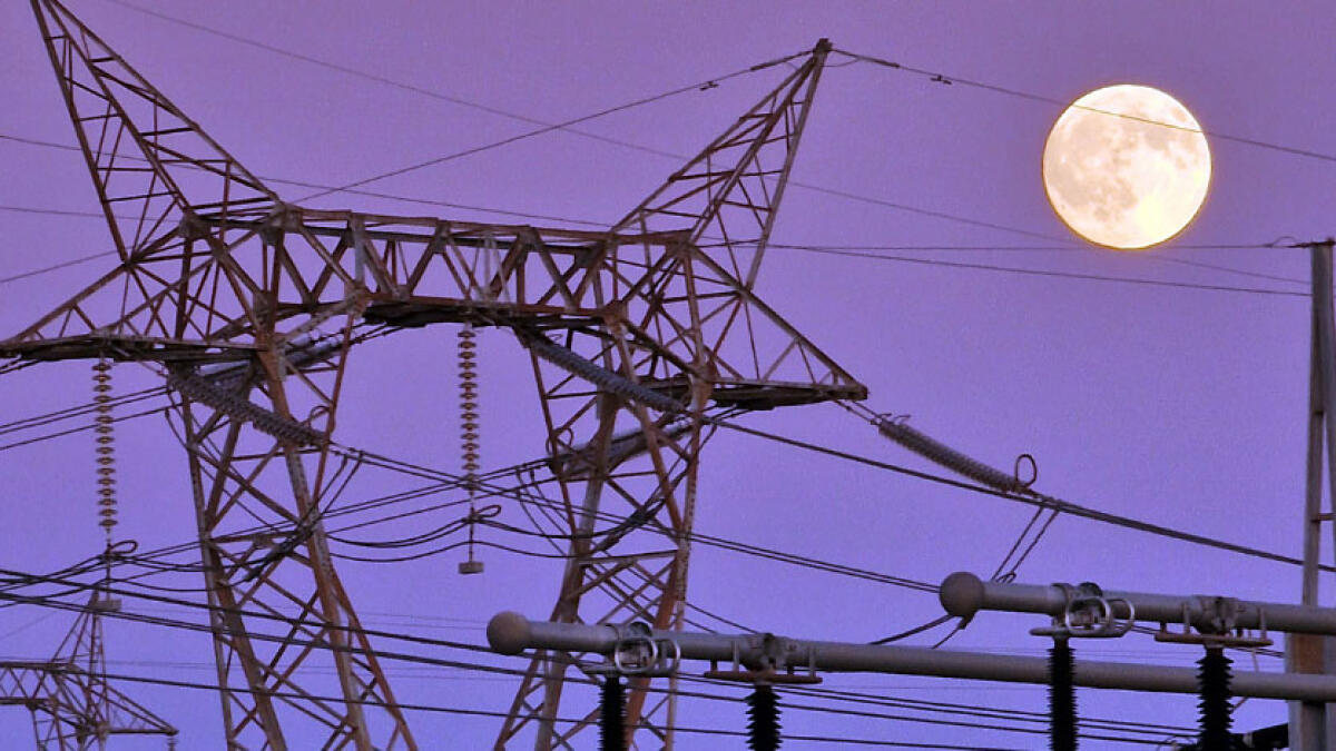 Terna assume diplomati e laureati - 