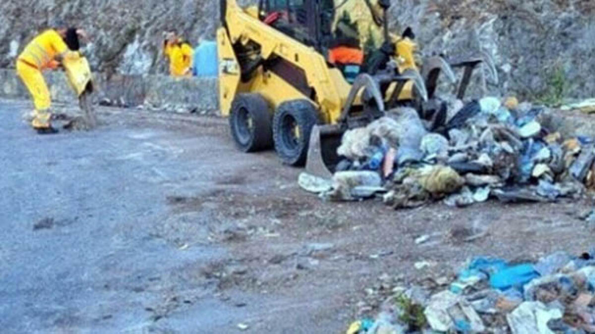 Carcasse nell'ex cava utilizzata per i rifiuti - 