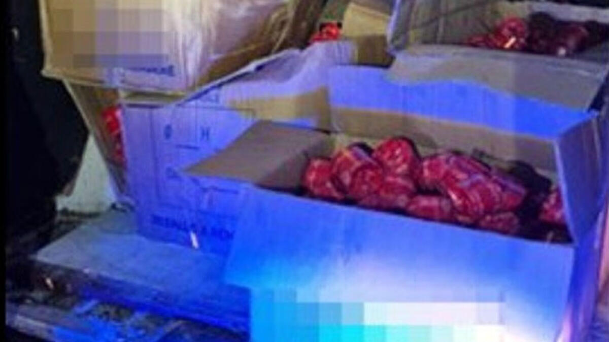 Nel furgone con 120 chili di botti killer - 